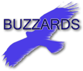 Buzzard