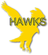Hawk